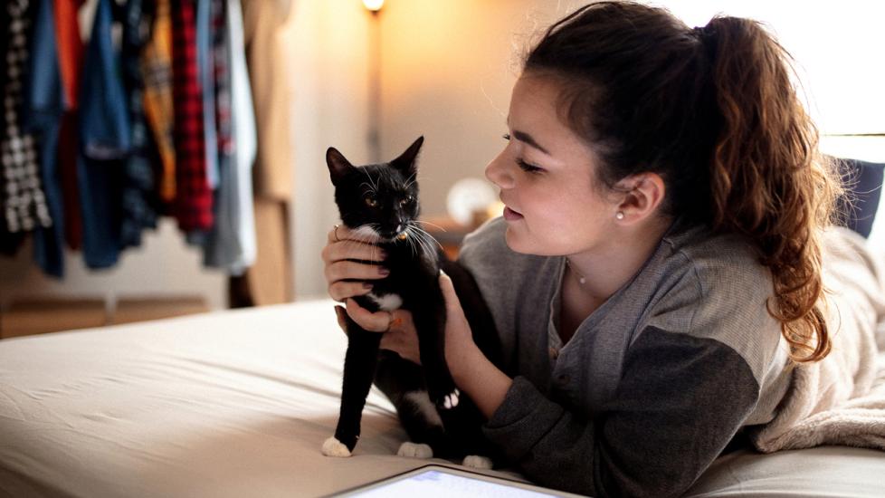 woman-laying-in-bed-with-cat